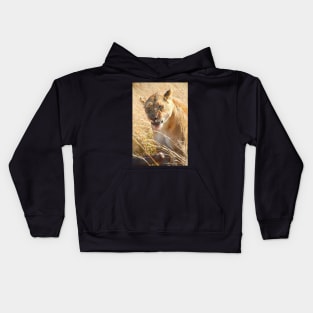 Lion at a Wildebeest Kill, Maasai Mara, Kenya Kids Hoodie